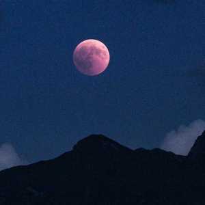 [Free beat]xxx vocal sample