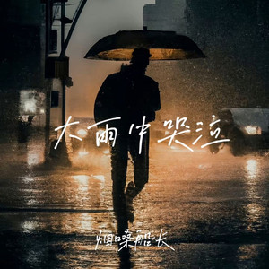 大雨中哭泣 (DJ德朋版)