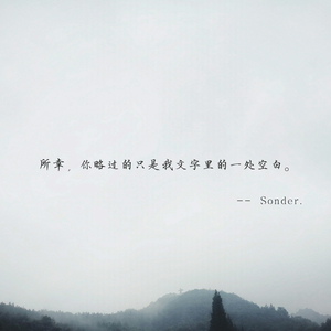所幸，你略过的只是我文字里的一处空白。(Sonder)