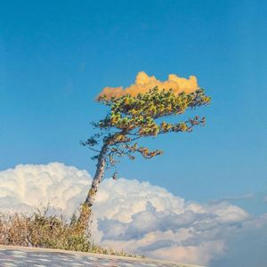 转场变装(BGM版)