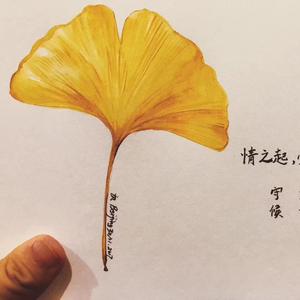 萧敬腾-新不了情（M_Terry remix）