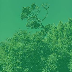 柔和的餐厅时刻