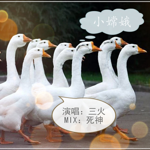 小嫦娥（Cover 安子与九妹）