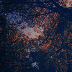 Noviembre