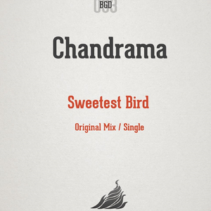Sweetest Bird (Original Mix)