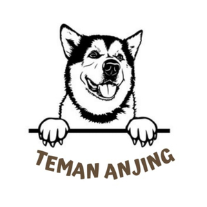teman anjing