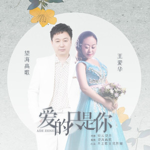 爱的只是你 (伴奏)