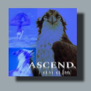 The Osprey's Ascent