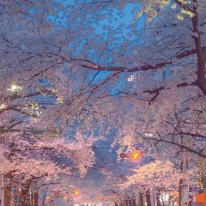 人生不过是一百年