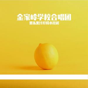 纸飞机 Fly Away (金家岭学校合唱团)