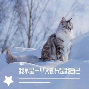 我不是一个人却只是我自己