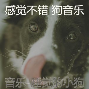好啊(狗午睡)