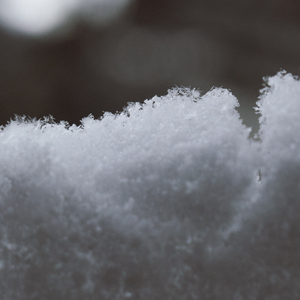 다짐 (feat. 홍예진)