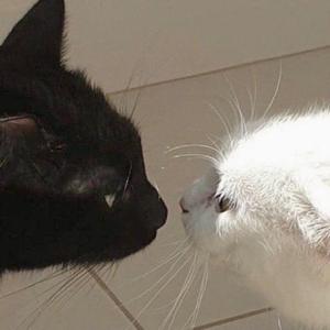 永远年轻永远热泪盈眶