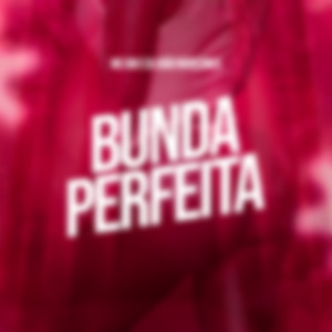 Bunda Perfeita
