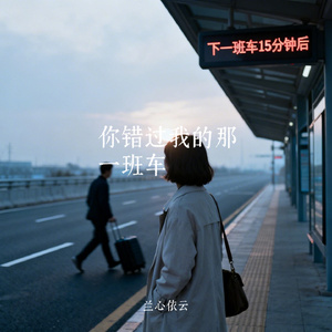 你错过我的那一班车
