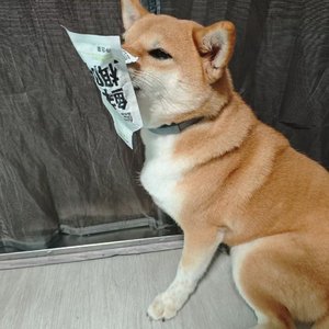 《成长路上的每一步》