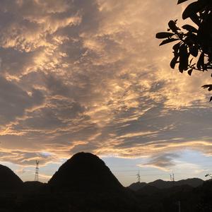 山雀（cover：wanqing）