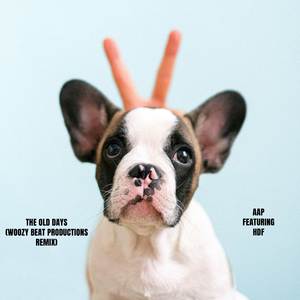 The Old Days (Woozy Beat Productions Remix)