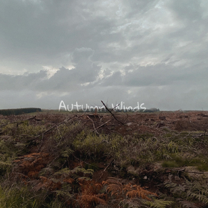Autumn Winds