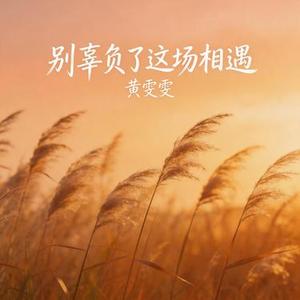 别辜负了这场相遇