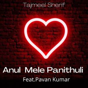 Anul Mele Panithuli