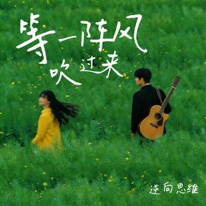 等一阵风吹过来