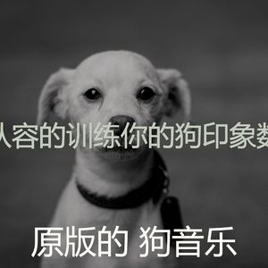 微妙的可爱的狗心情