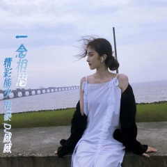 一念相思 (DJ版)