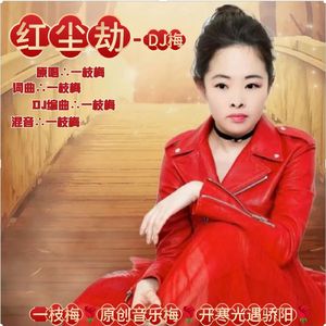 红尘劫（DJ梅版）