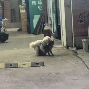 最后（Prod.Gr33nart Beats）