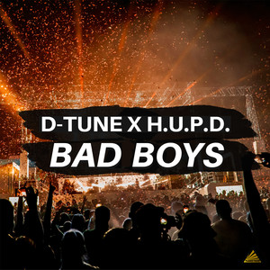 Bad Boys (D-Tune Mix)