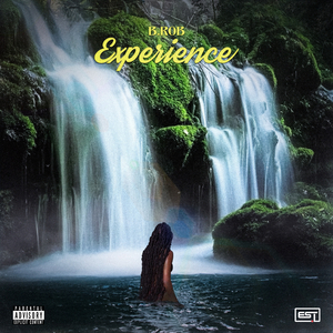 Experience