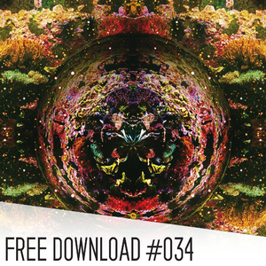 Thro Yo! (Broken Haze Remix)