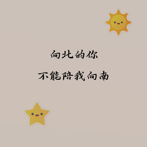 向北的你不能陪我向南