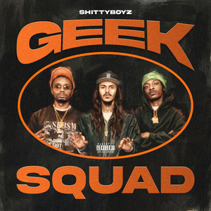 Geek Squad