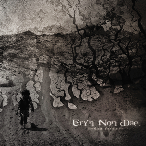 The Decline & the Fall