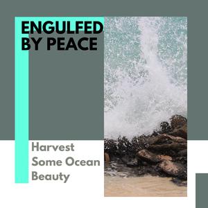 Colorful Ocean Nature Lullaby