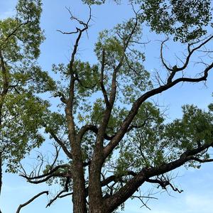 《意味》（cover 李）