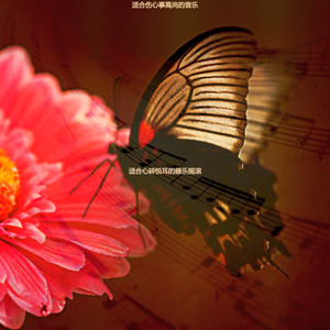 适合伤心事甜美的音乐