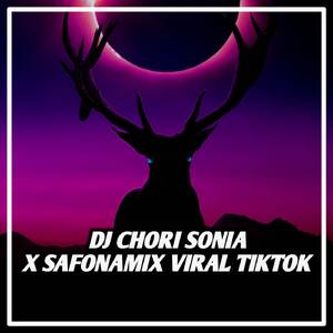 DJ Chori Sonia X Safonamix Viral Tiktok
