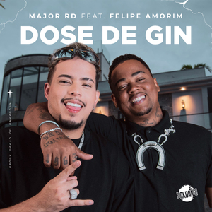 Dose de Gin
