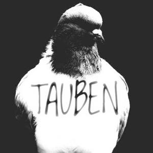 Tauben (feat. PRZ)
