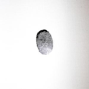 Febrero 2023 (Dam dam dam dam dam dam)