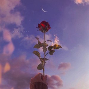 问花（翻自 家鸣）