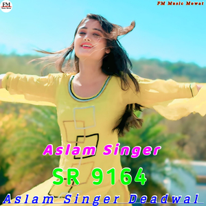 Aslam Singer SR 9164