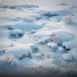 Frozen Forest