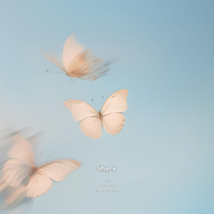 어디에 있나요 (Where)