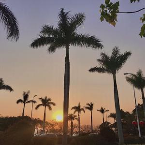 漫长告白我们还有好多好多年（翻自 盛淮南洛枳）