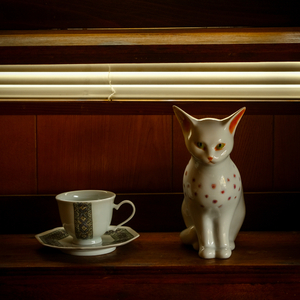 猫とティーカップ